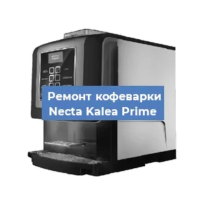 Чистка кофемашины Necta Kalea Prime от накипи в Челябинске